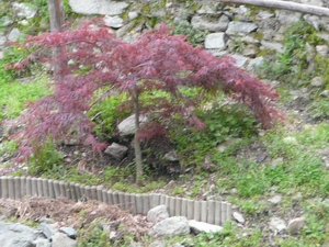 Click here for full details.